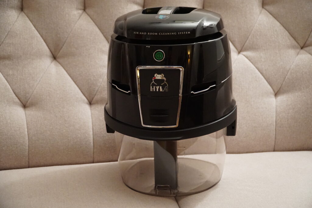 Hyla Est platziert auf einem Sofa.